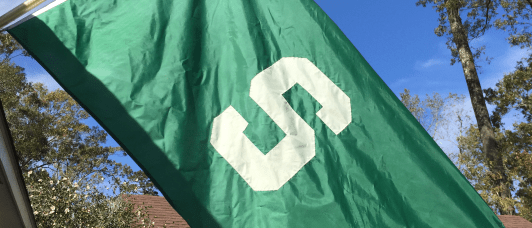 msu_flag_2